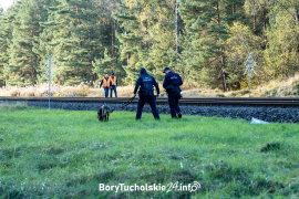 Zdjęcie 15