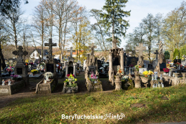 Zdjęcie 11
