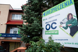 Zdjęcie 12