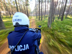 Zdjęcie 10