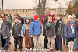 Zdjęcie 11