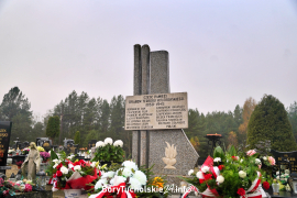 Zdjęcie 120