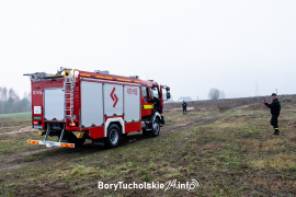 Zdjęcie 26