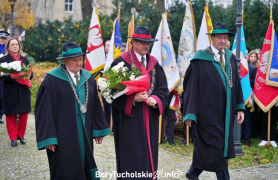 Zdjęcie 311