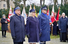 Zdjęcie 317