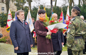 Zdjęcie 321