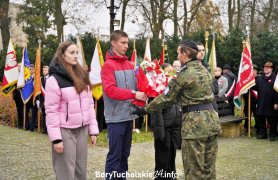 Zdjęcie 335