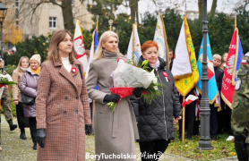 Zdjęcie 339