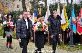 Zdjęcie 354