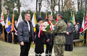 Zdjęcie 355