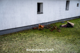 Zdjęcie 15