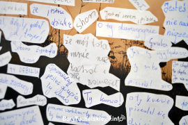 Zdjęcie 13