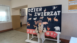 Zdjęcie 9