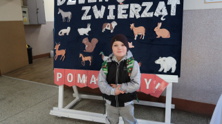 Zdjęcie 12