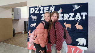Zdjęcie 14