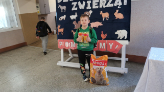 Zdjęcie 19