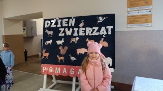 Zdjęcie 28