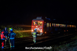 Zdjęcie 12