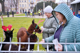 Zdjęcie 149
