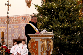 Zdjęcie 31