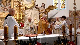 Zdjęcie 16