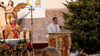 Zdjęcie 23