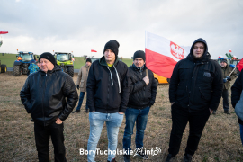 Zdjęcie 41