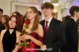 Zdjęcie 264