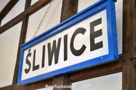 Zdjęcie 29