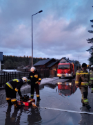 Zdjęcie 1