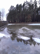 Zdjęcie 11