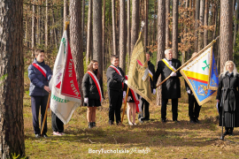 Zdjęcie 26