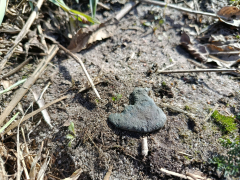 Zdjęcie 6