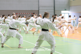 Zdjęcie 14