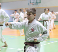 Zdjęcie 36
