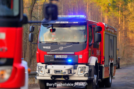 Zdjęcie 10
