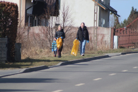 Zdjęcie 1