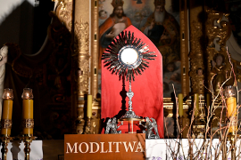 Zdjęcie 91