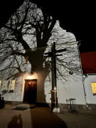 Zdjęcie 11