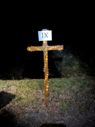 Zdjęcie 12