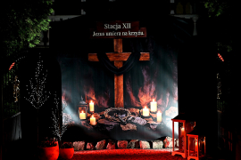 Zdjęcie 15