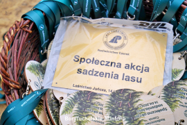 Zdjęcie 70