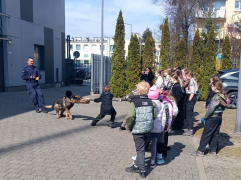 Zdjęcie 5