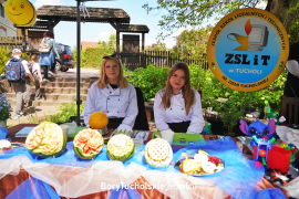Zdjęcie 42