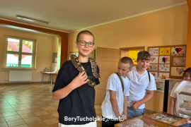 Zdjęcie 37
