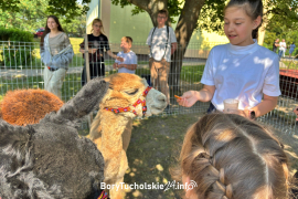 Zdjęcie 167