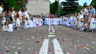 Zdjęcie 126