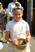 Zdjęcie 72