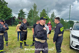 Zdjęcie 83