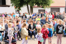 Zdjęcie 335